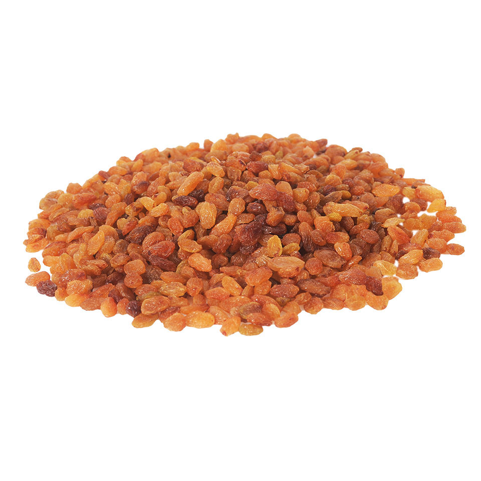 Kuru Üzüm